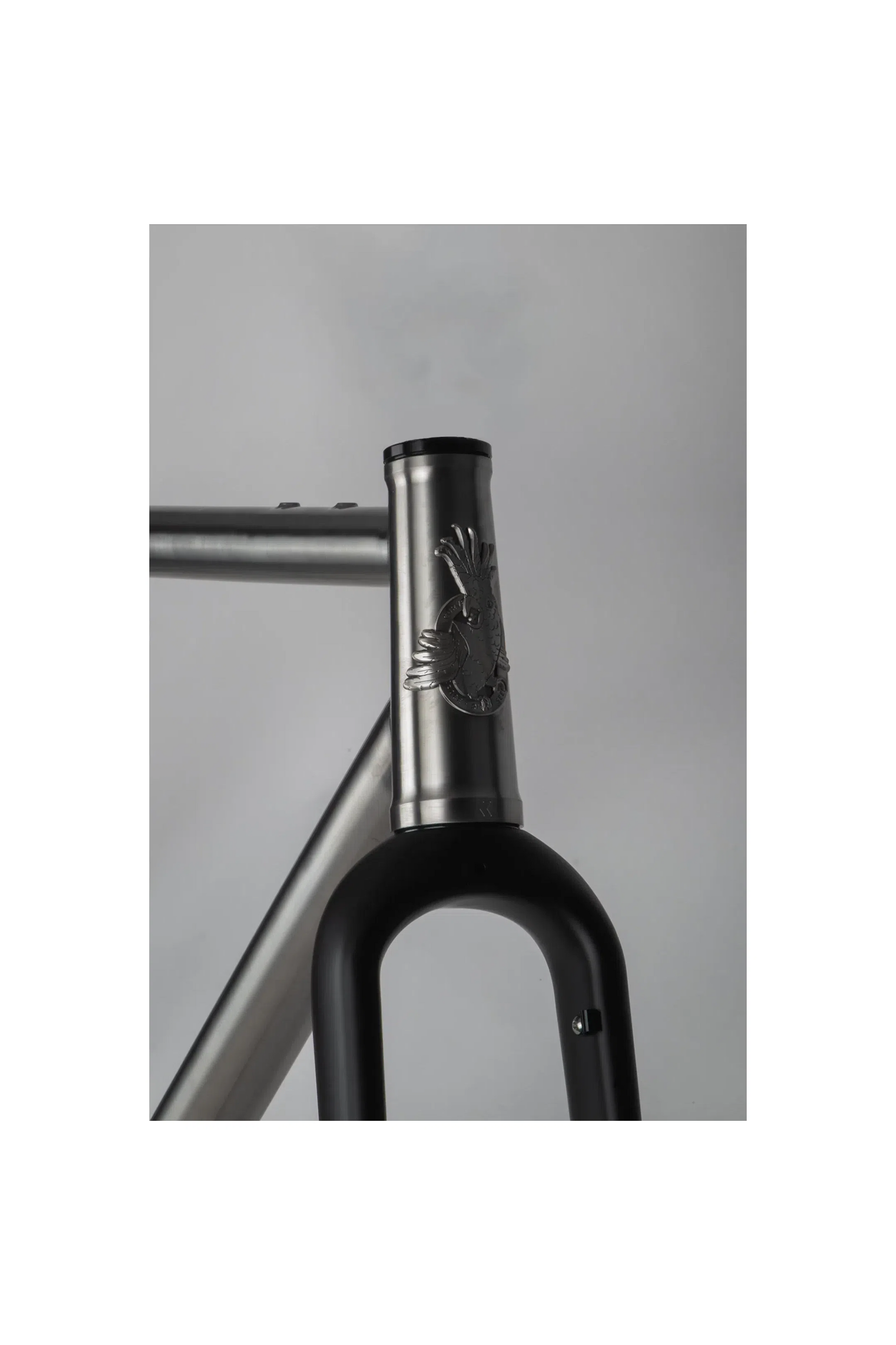 Curve Big Kev Ti Frameset